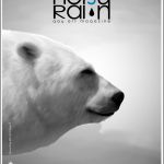 Noisy Rain Cover 12