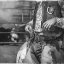 David J Vanderpool Rodeo